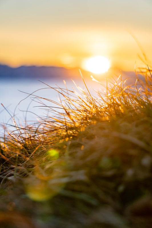 Getting Vitamin D During Early Spring Months